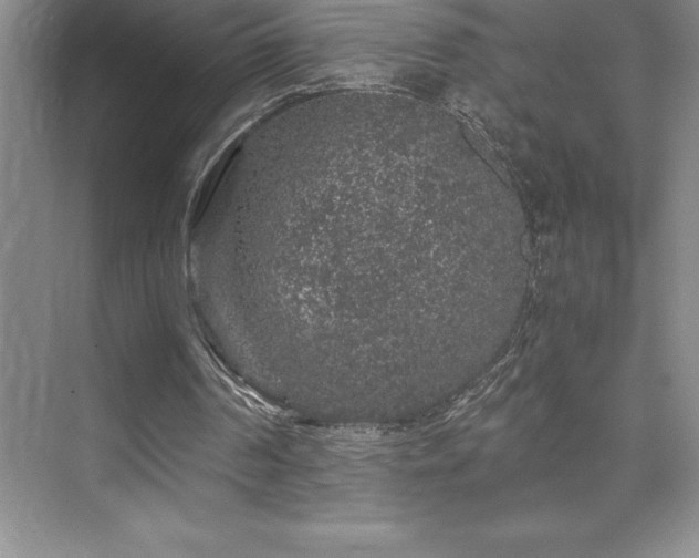 X0000076070194200609221205