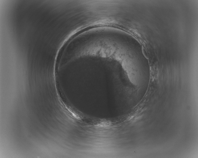 X0000076070196200609221205