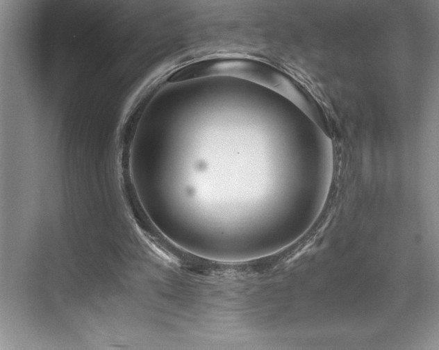 X0000076070197200609221205