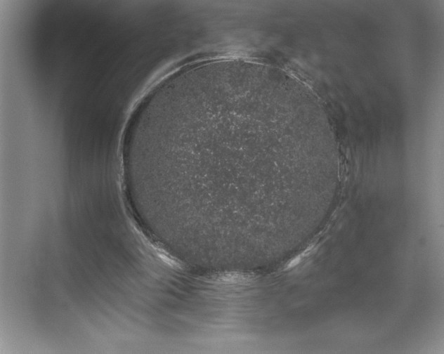 X0000076070198200609221205