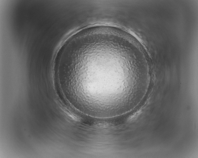 X0000076070199200609221205