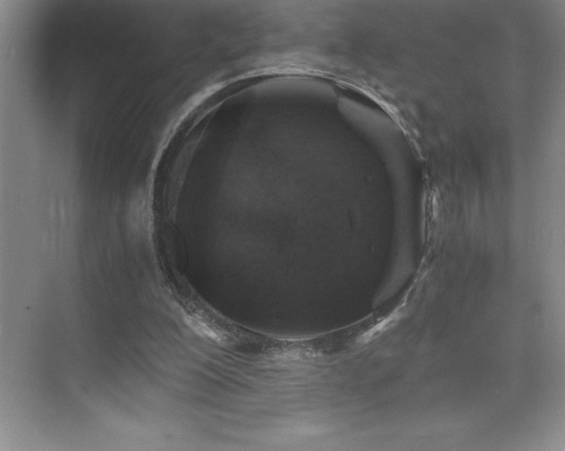 X0000076070200200609221205