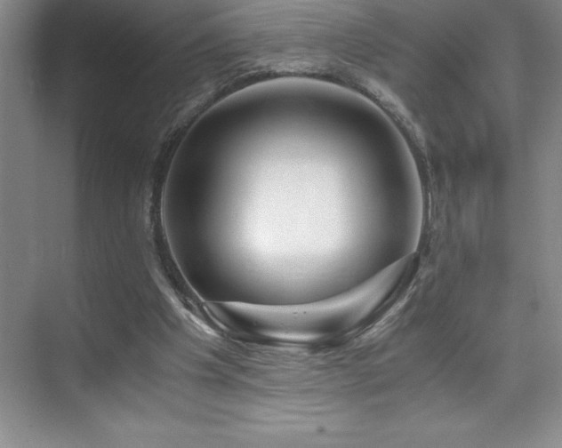 X0000076070201200609221205