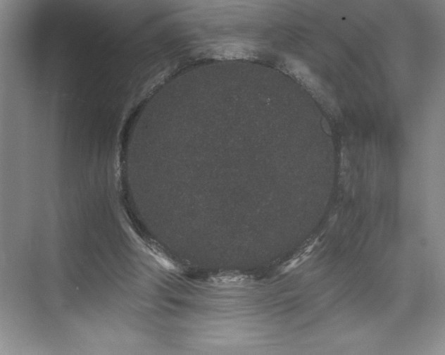 X0000076070202200609221205