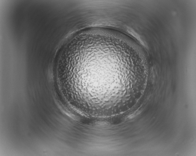 X0000076070203200609221205