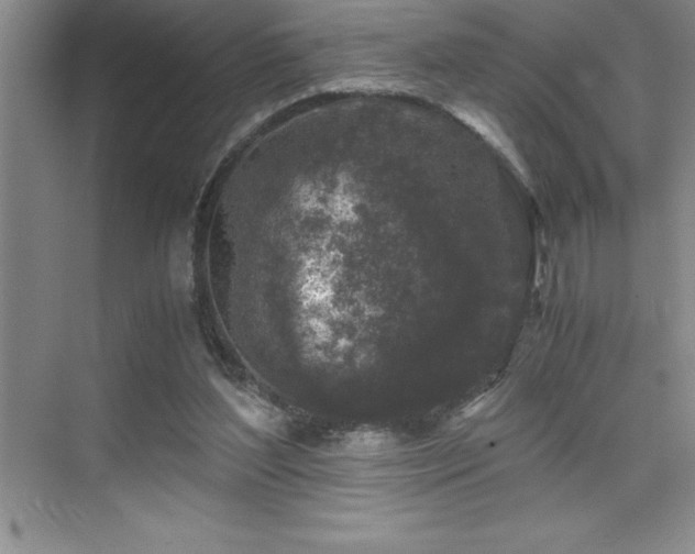 X0000076070204200609221205