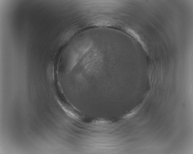 X0000076070205200609221205