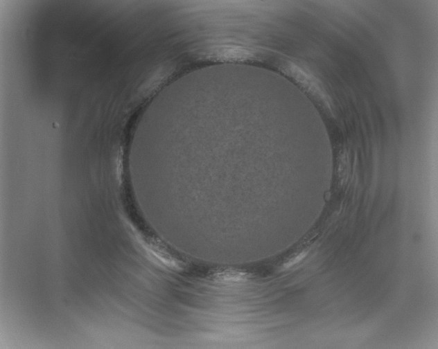 X0000076070206200609221205