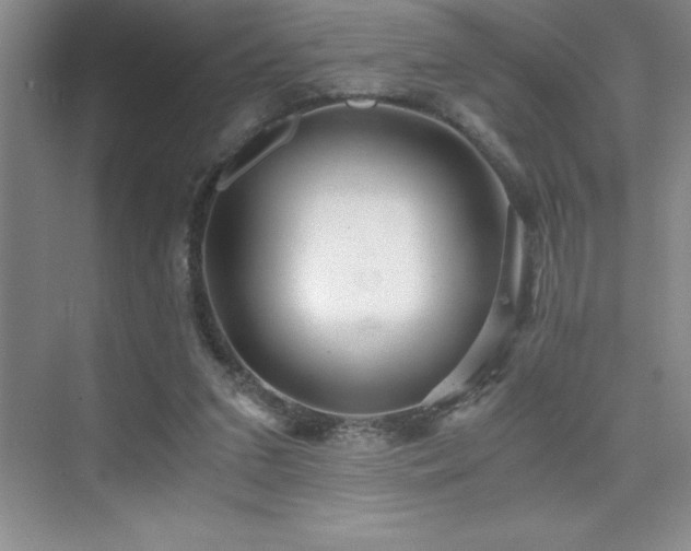 X0000076070207200609221205