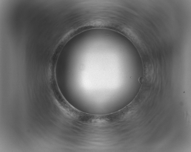 X0000076070208200609221205