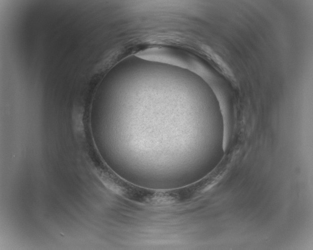 X0000076070209200609221205