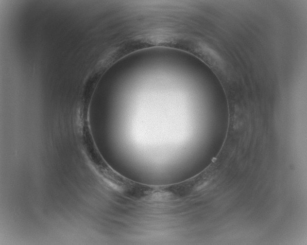 X0000076070210200609221205