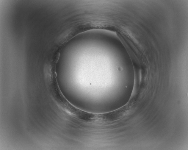 X0000076070211200609221205