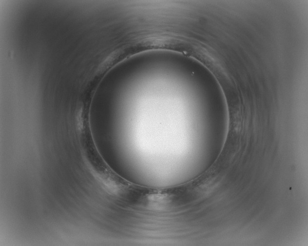 X0000076070216200609221205