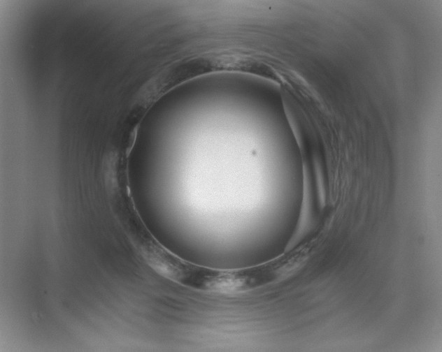 X0000076070217200609221205