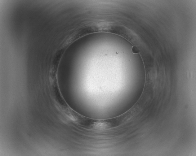 X0000076070218200609221205