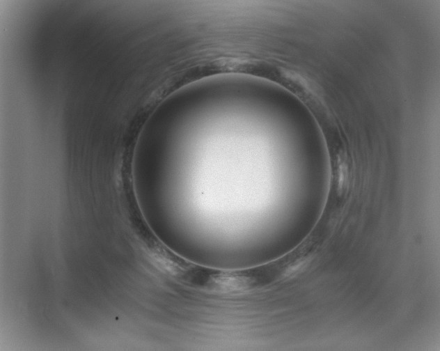 X0000076070221200609221205