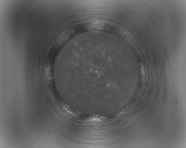 X0000076070224200609221205