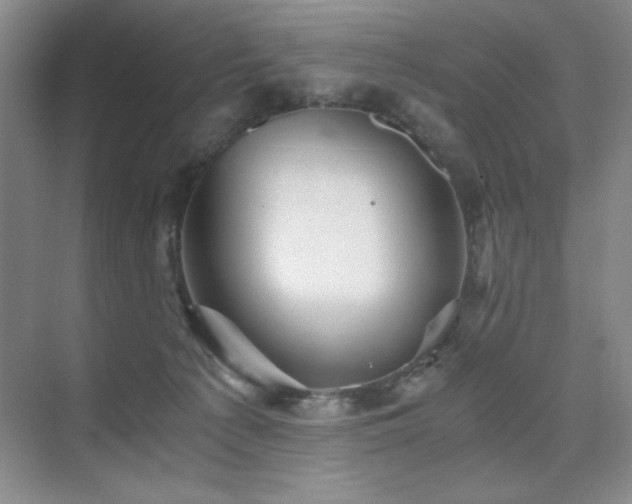 X0000076070225200609221205