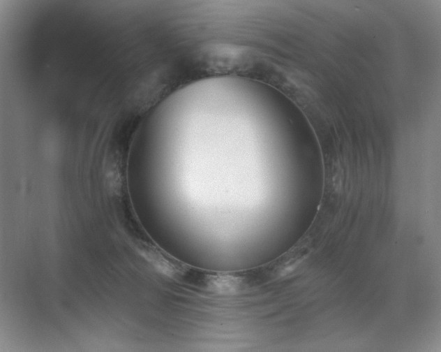 X0000076070226200609221205