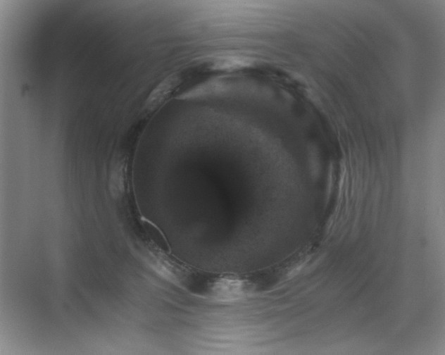 X0000076070227200609221205