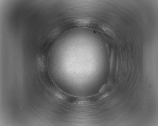 X0000076070228200609221205