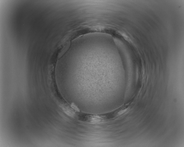 X0000076070229200609221205