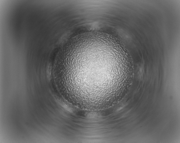 X0000076070230200609221205