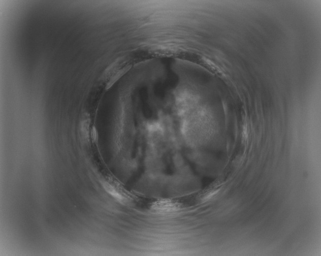 X0000076070231200609221205