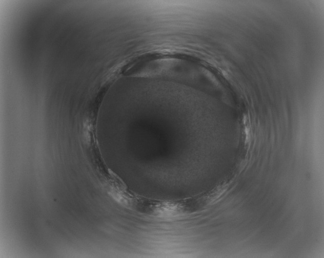 X0000076070235200609221204