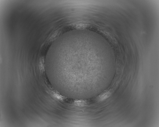 X0000076070240200609221204