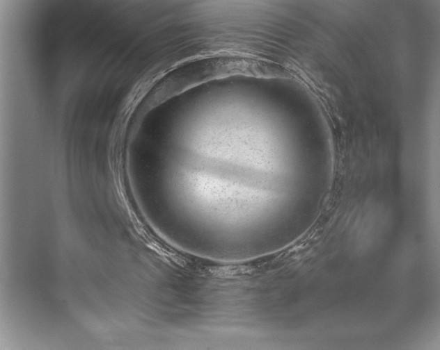 X0000076070241200609221204