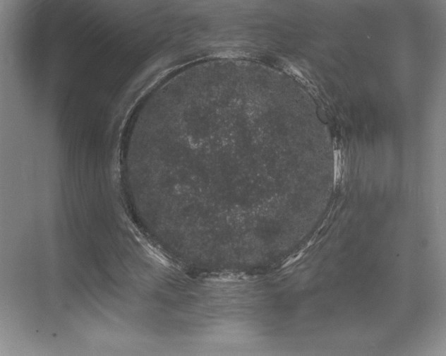 X0000076070243200609221204