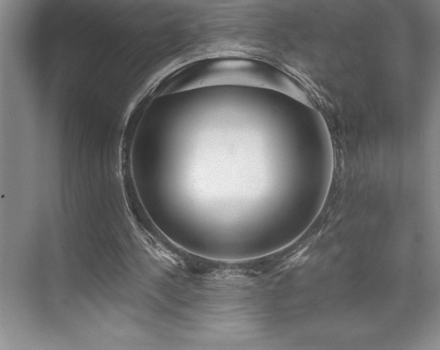 X0000076070244200609221204