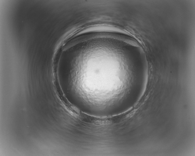 X0000076070245200609221204