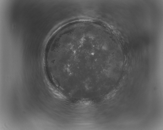 X0000076070247200609221204