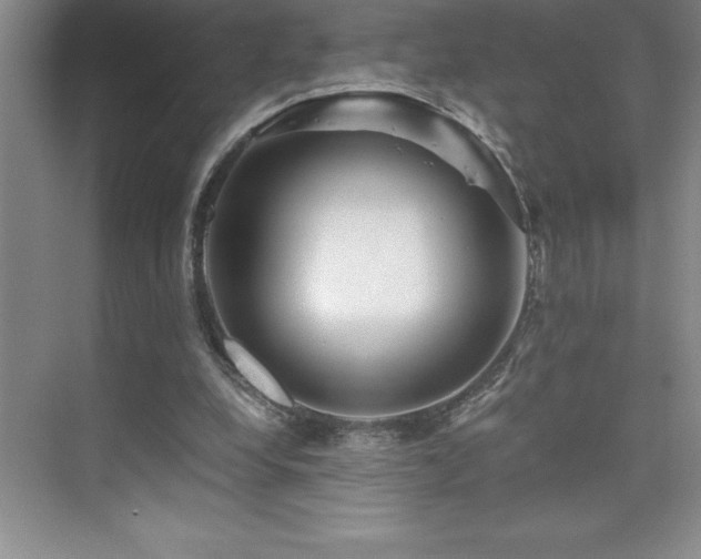 X0000076070248200609221204