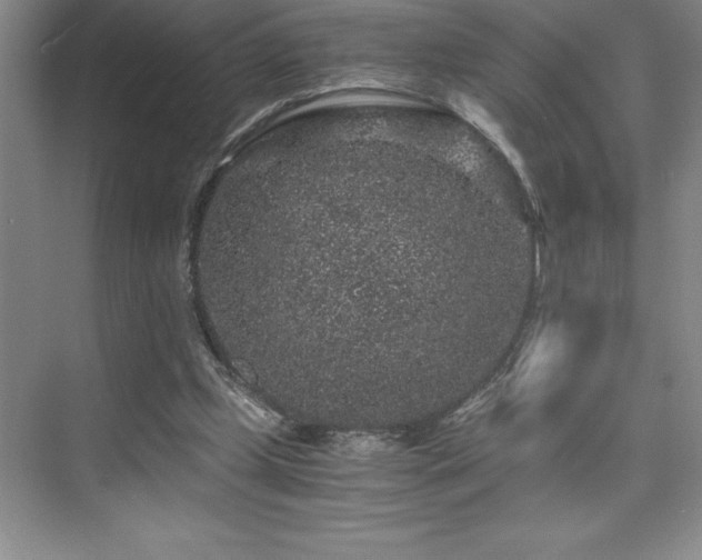 X0000076070249200609221204