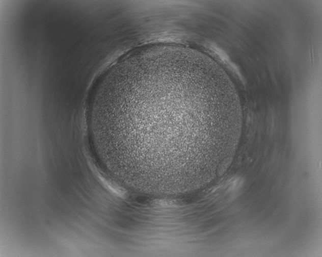 X0000076070250200609221204