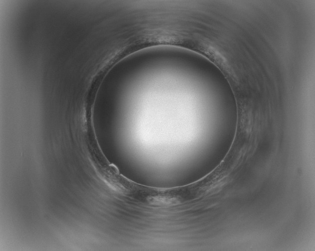 X0000076070251200609221204