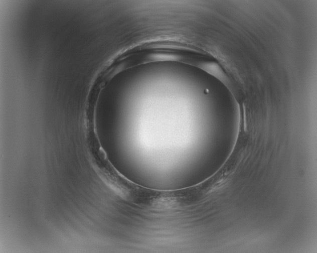 X0000076070252200609221204