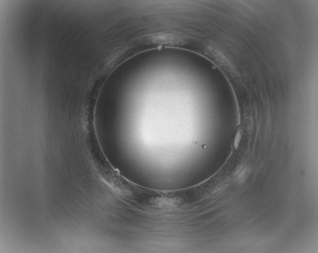 X0000076070255200609221204