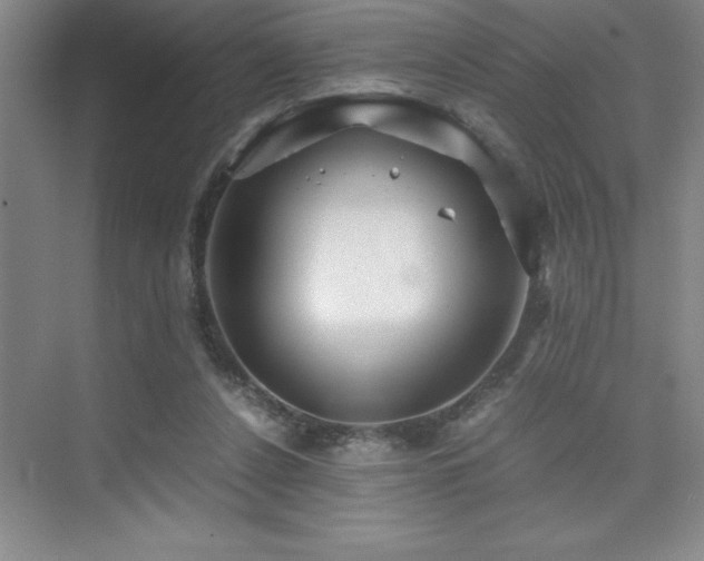 X0000076070256200609221204