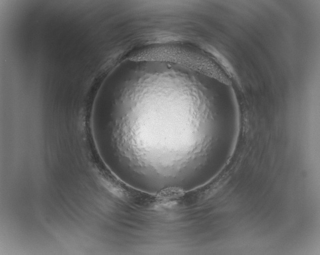 X0000076070257200609221204