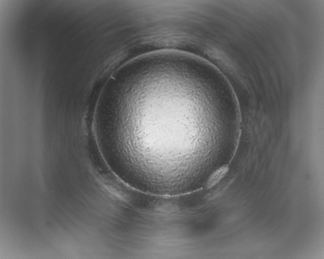 X0000076070258200609221204