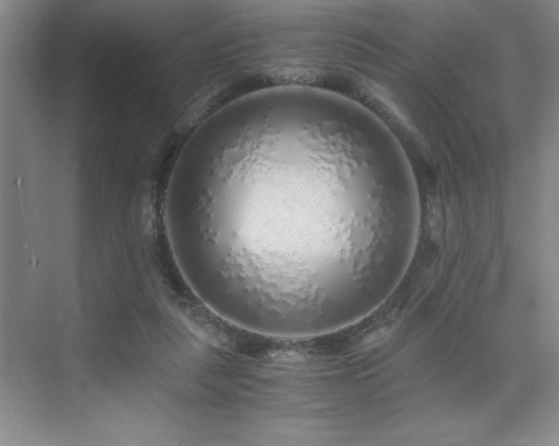 X0000076070259200609221204