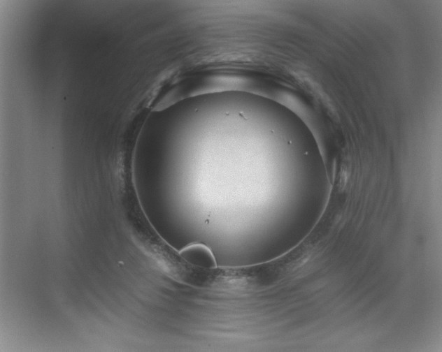 X0000076070260200609221204