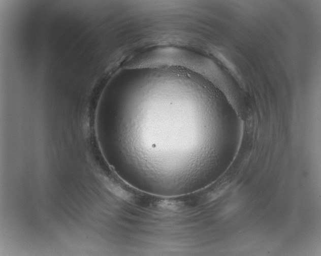 X0000076070261200609221204