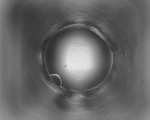 X0000076070262200609221204