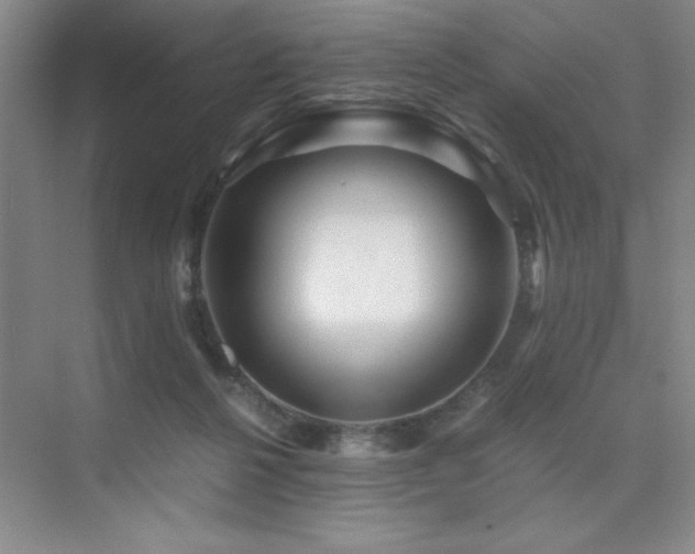 X0000076070264200609221204